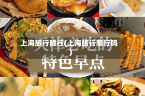 上海旅行限行(上海旅行限行吗)