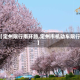【定州限行南环路,定州市机动车限行】