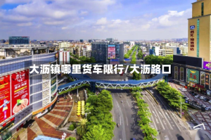 大沥镇哪里货车限行/大沥路口