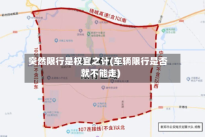 突然限行是权宜之计(车辆限行是否就不能走)