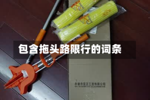 包含拖头路限行的词条