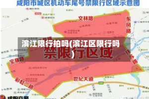 滨江限行拍吗(滨江区限行吗)