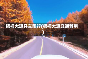 梧桐大道开车限行(梧桐大道交通管制)