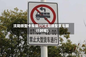 沈阳微型卡车限行(沈阳微型货车禁行时间)