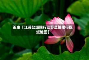 近来【江苏盐城限行江苏盐城限行区域地图】