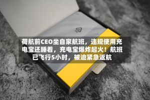 荷航前CEO坐自家航班，违规使用充电宝还睡着，充电宝爆炸起火！航班已飞行5小时，被迫紧急返航