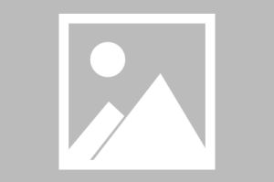 关于【新乐限行区域规则,新乐今天限号是几和几】