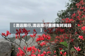 【清远限行,清远限行黄牌车时间段】