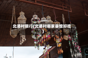 北港村限行(北港村哪家餐馆好吃)