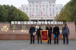 西平限行区域图片(西平限号规定2020)