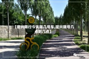 【定兴限行今天限几号车,定兴限号几点到几点】