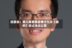 远望谷：第八届董事会第十九次（临时）会议决议公告