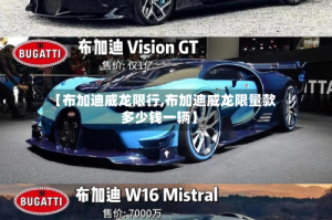 【布加迪威龙限行,布加迪威龙限量款多少钱一辆】