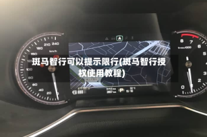 斑马智行可以提示限行(斑马智行授权使用教程)