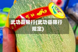 武功县限行(武功县限行规定)