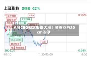 A股CRO概念板块大涨！金石亚药20cm涨停