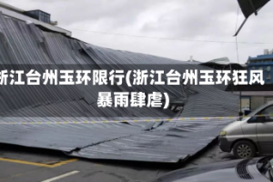 浙江台州玉环限行(浙江台州玉环狂风暴雨肆虐)