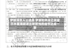 伊朗消息人士透露 伊朗和阿曼已就霍尔木兹海峡进出新路线的细节达成一致
