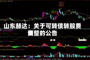 山东赫达：关于可转债转股费用调整的公告