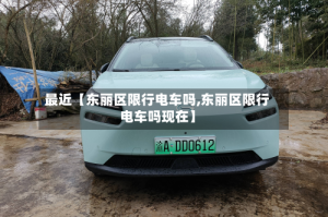 最近【东丽区限行电车吗,东丽区限行电车吗现在】