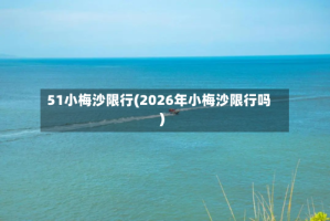 51小梅沙限行(2026年小梅沙限行吗)