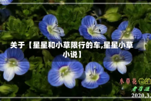 关于【星星和小草限行的车,星星小草小说】
