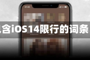 包含iOS14限行的词条