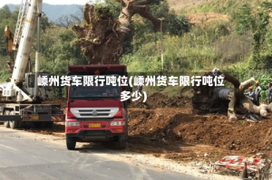 嵊州货车限行吨位(嵊州货车限行吨位多少)