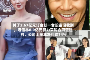 付了2.67亿元订金却一台设备没收到，迈信林8.9亿元算力采购合同遭违约，公司上半年净利降74%