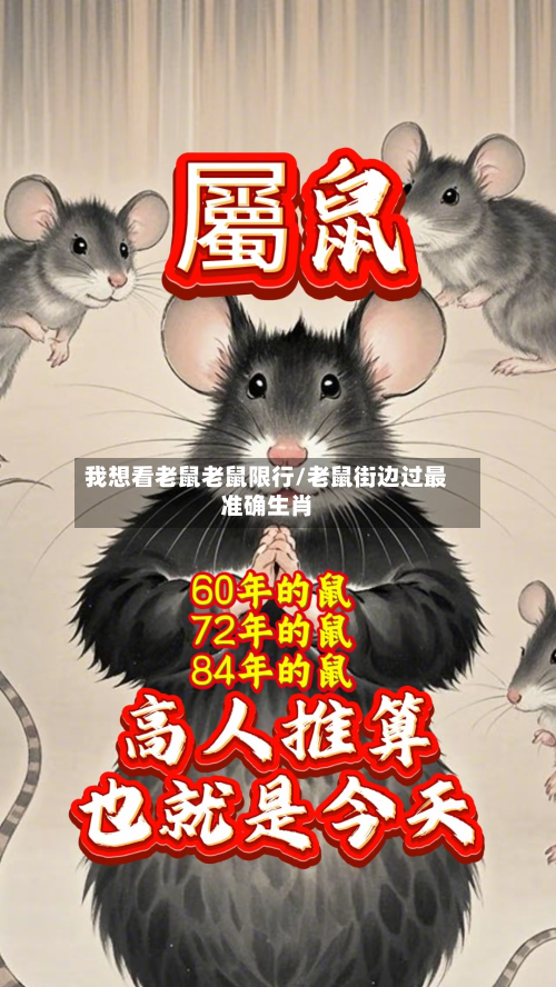 我想看老鼠老鼠限行/老鼠街边过最准确生肖-第2张图片