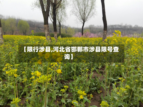 【限行涉县,河北省邯郸市涉县限号查询】-第2张图片