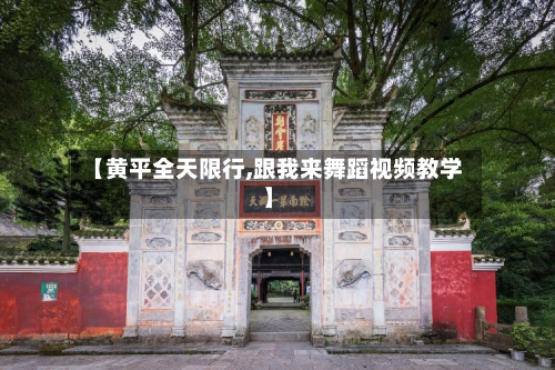 【黄平全天限行,跟我来舞蹈视频教学】-第3张图片