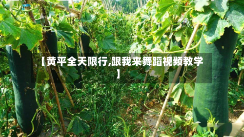 【黄平全天限行,跟我来舞蹈视频教学】-第2张图片