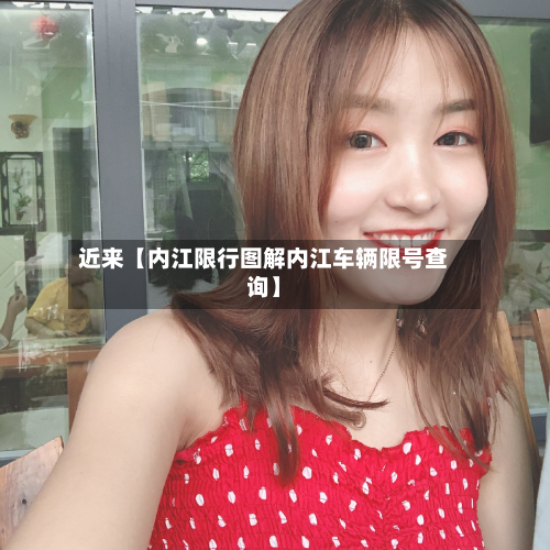 近来【内江限行图解内江车辆限号查询】-第3张图片