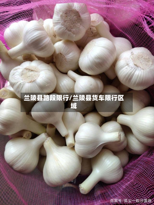 兰陵县路段限行/兰陵县货车限行区域-第1张图片