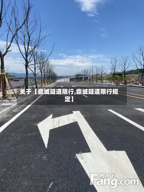 关于【鼎城隧道限行,鼎城隧道限行规定】-第1张图片