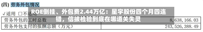 ROE倒挂、外包费2.44万亿：星宇股份四个月四连错	，信披检验到底在哪道关失灵-第2张图片
