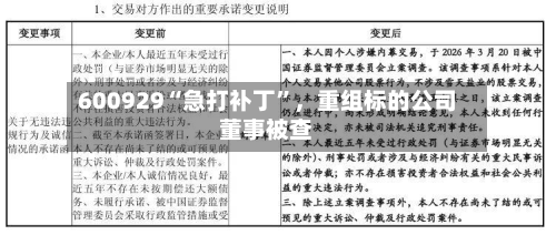 600929“急打补丁”，重组标的公司董事被查-第1张图片