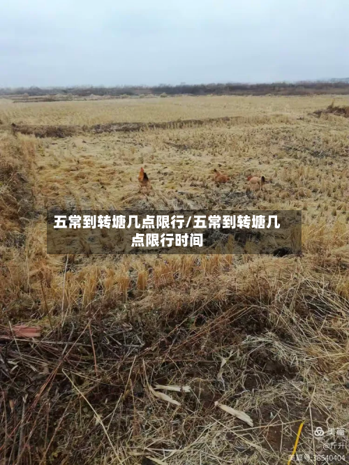 五常到转塘几点限行/五常到转塘几点限行时间-第3张图片