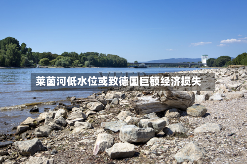 莱茵河低水位或致德国巨额经济损失-第1张图片