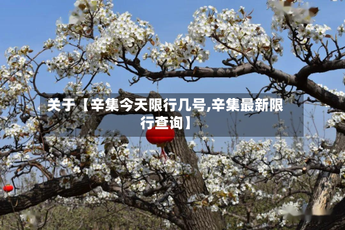 关于【辛集今天限行几号,辛集最新限行查询】-第1张图片