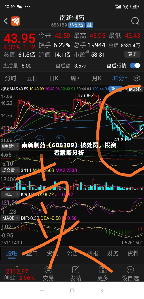南新制药（688189）被处罚，投资者索赔分析-第1张图片