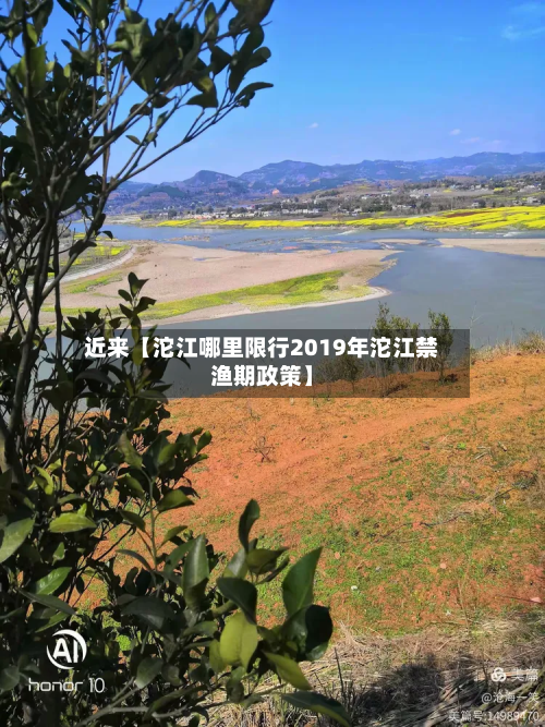 近来【沱江哪里限行2019年沱江禁渔期政策】-第2张图片