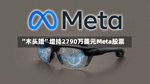“木头姐	”增持2790万美元Meta股票-第1张图片