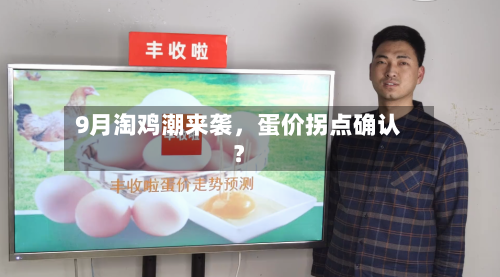 9月淘鸡潮来袭	，蛋价拐点确认？-第3张图片