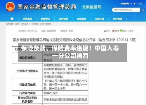 保险条款	、保险费率违规！中国人寿一分公司被罚-第3张图片