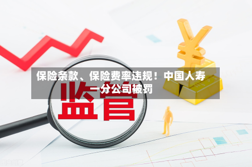 保险条款、保险费率违规！中国人寿一分公司被罚-第2张图片