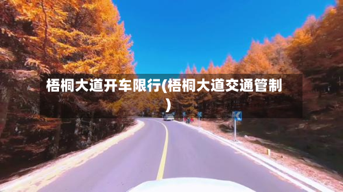 梧桐大道开车限行(梧桐大道交通管制)-第1张图片