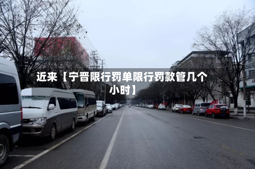 近来【宁晋限行罚单限行罚款管几个小时】-第1张图片