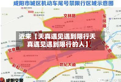 近来【天真遇见遇到限行天真遇见遇到限行的人】-第2张图片